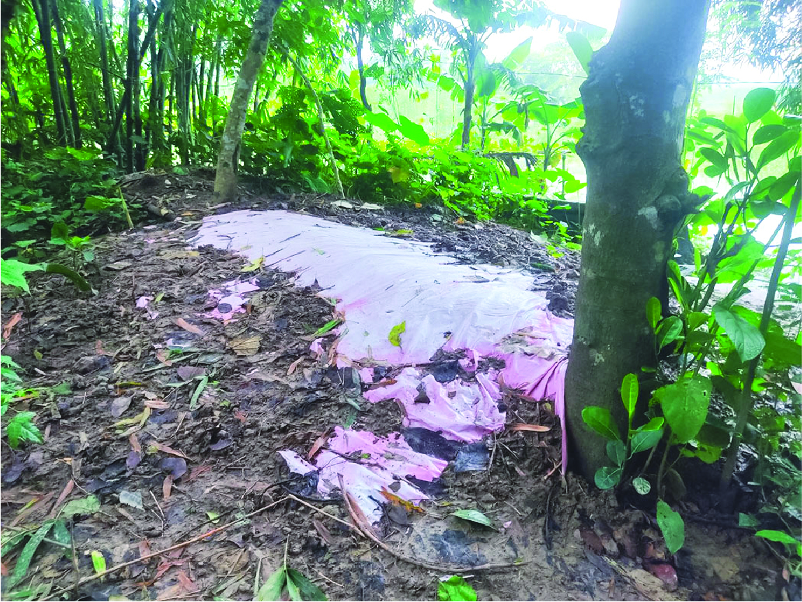Image of রুমান বেপারী